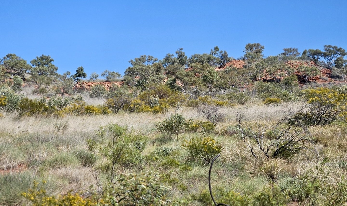 Truscott exploration ground in the Northern Territory